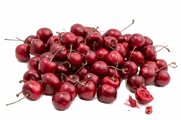 Northwest Washington Cherries