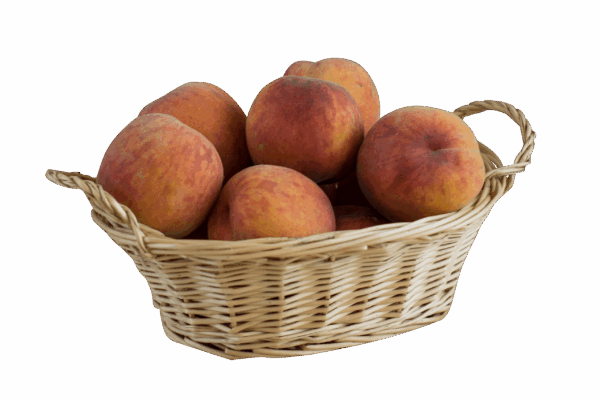 Southern Peaches